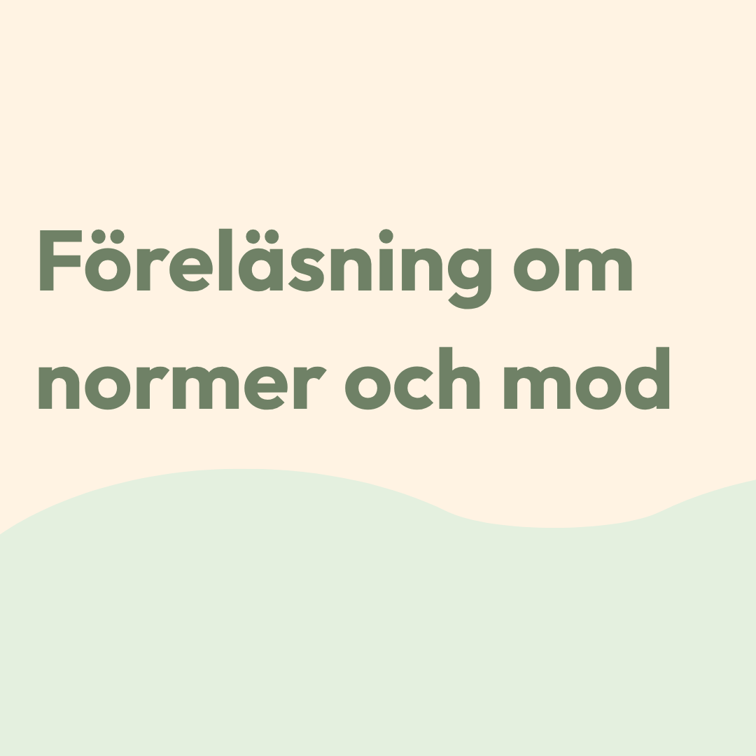 föreläsning om normer och mod skola Täby Park2